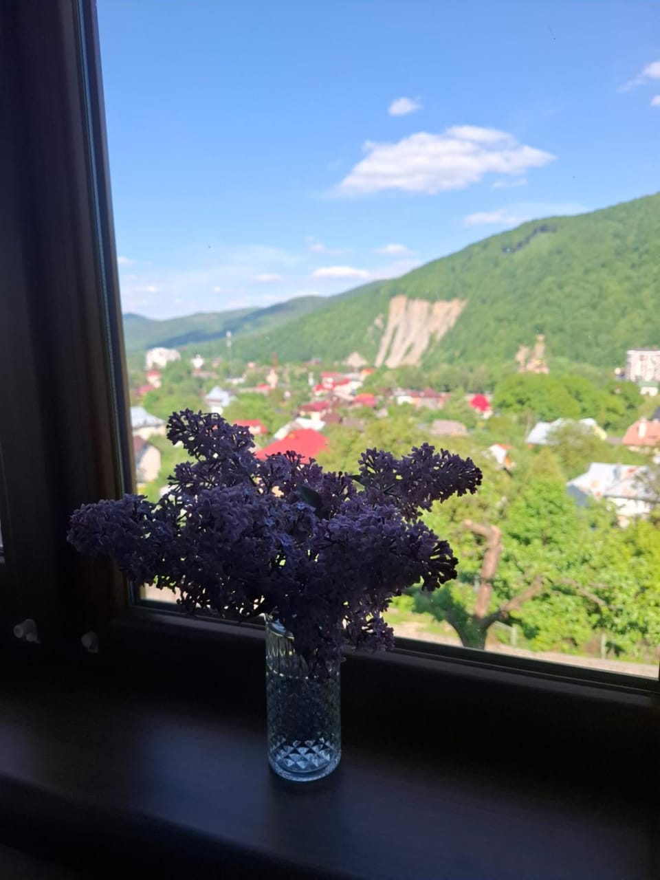 У Миколайчуків Bed and Breakfast in Ukraine