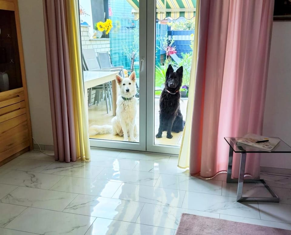Pets