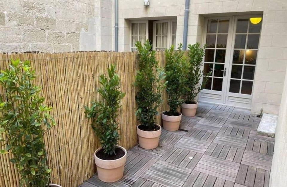 Patio, Garden