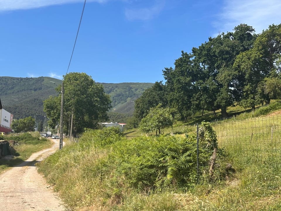 Neighbourhood, Natural landscape