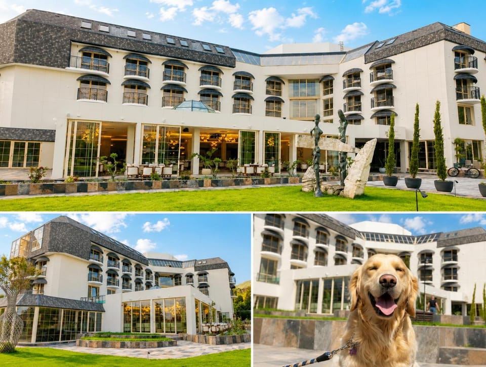 Property building, Day, Pets