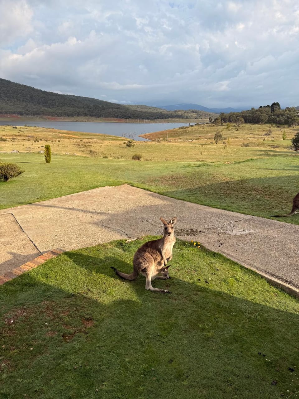 Natural landscape, Garden, Lake view, Mountain view