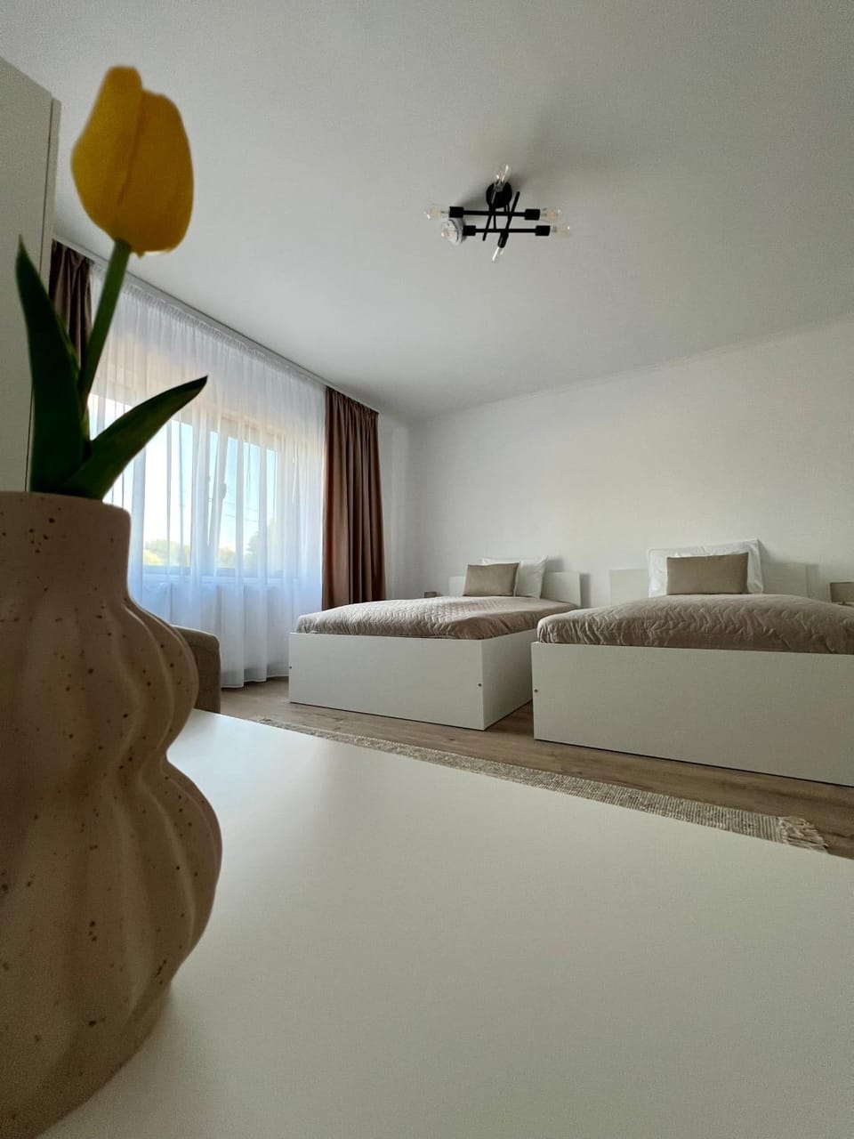 Colt de Apuseni Apartment in Romania