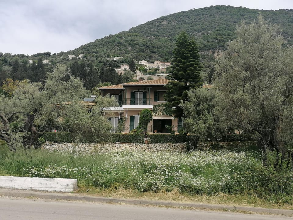 Property building, Natural landscape