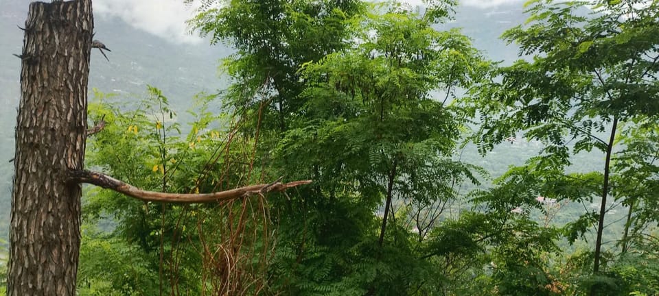 Nothing Villa in Himachal Pradesh