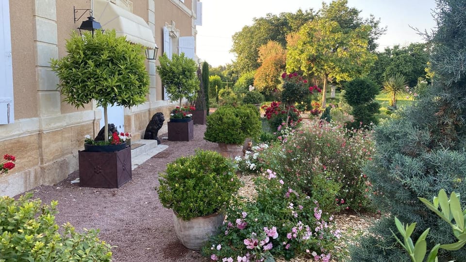 Spring, Garden, Garden view
