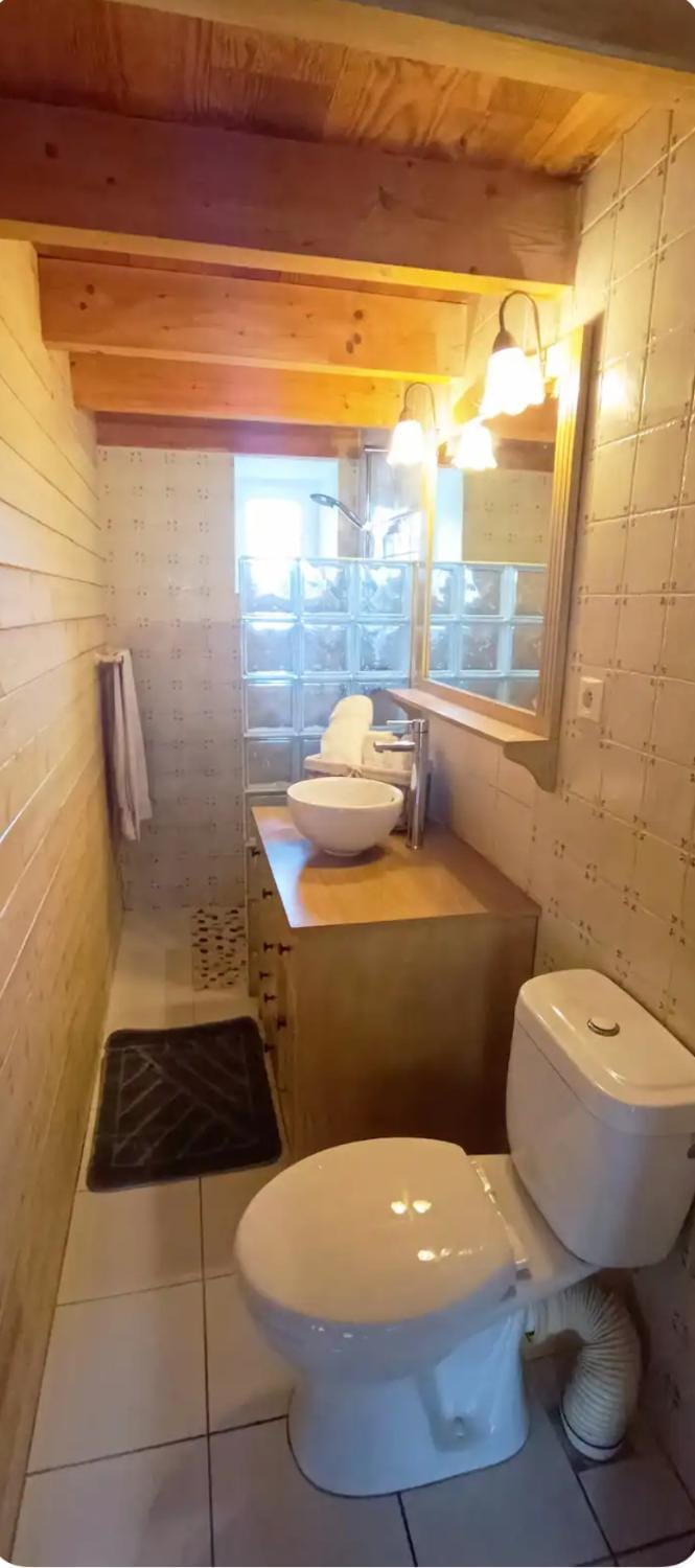 Toilet, Bathroom
