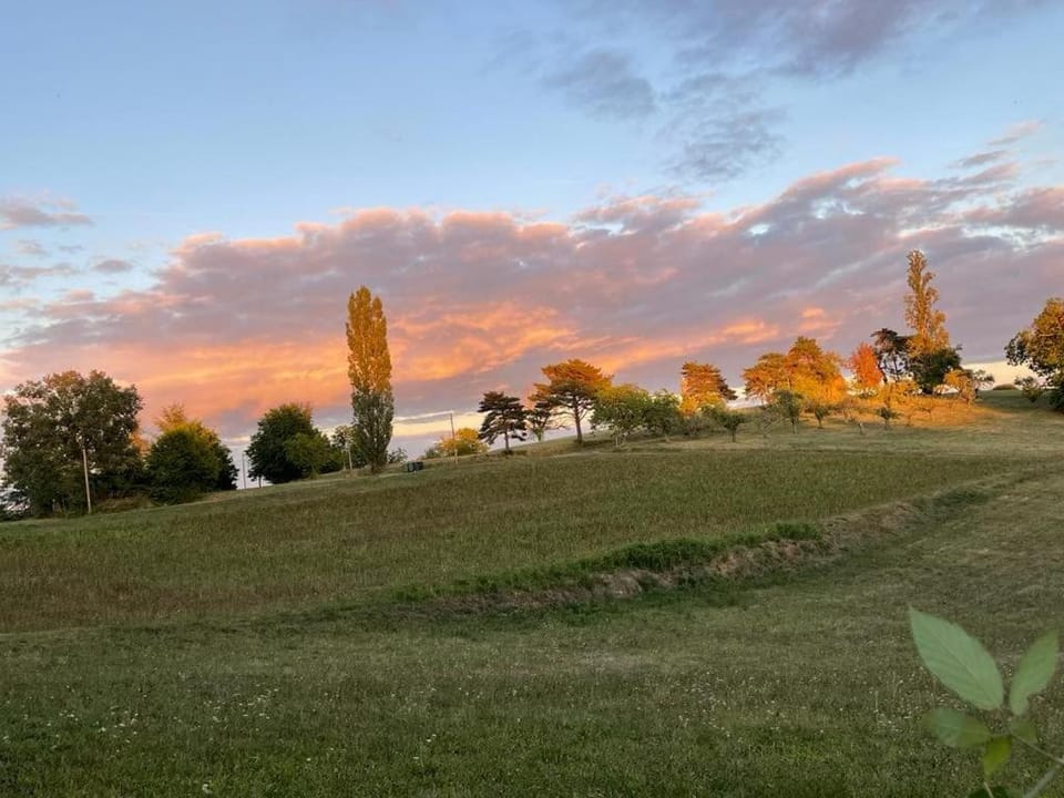 Le poulailler, Domaine de la Bastide House in Occitanie