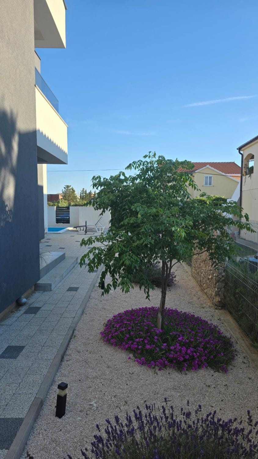 Day, Garden, Garden, Garden view
