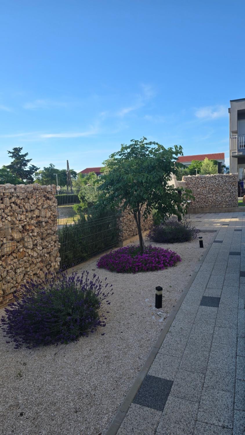 Day, Garden, Garden