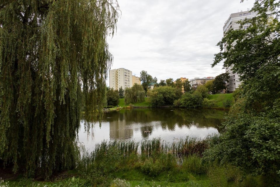 Nearby landmark, Neighbourhood, Activities