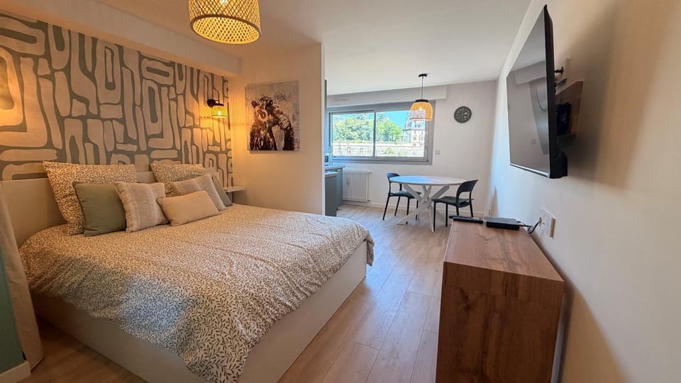 Le Vendome Apartment in Dijon