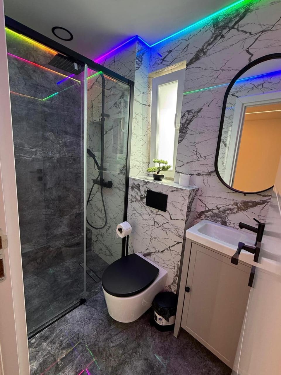 Mini Studio Aristocrat Apartment in Romania