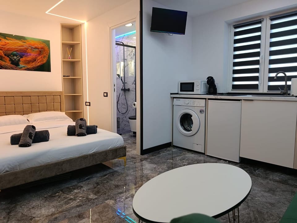 Mini Studio Aristocrat Apartment in Romania