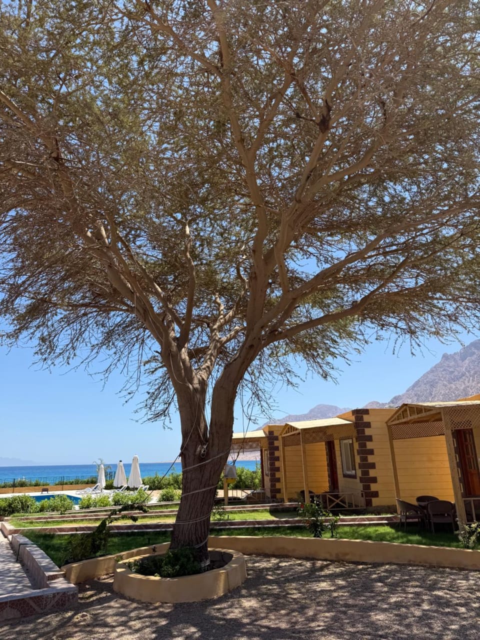 Nuweiba house camp Resort in South Sinai Governorate