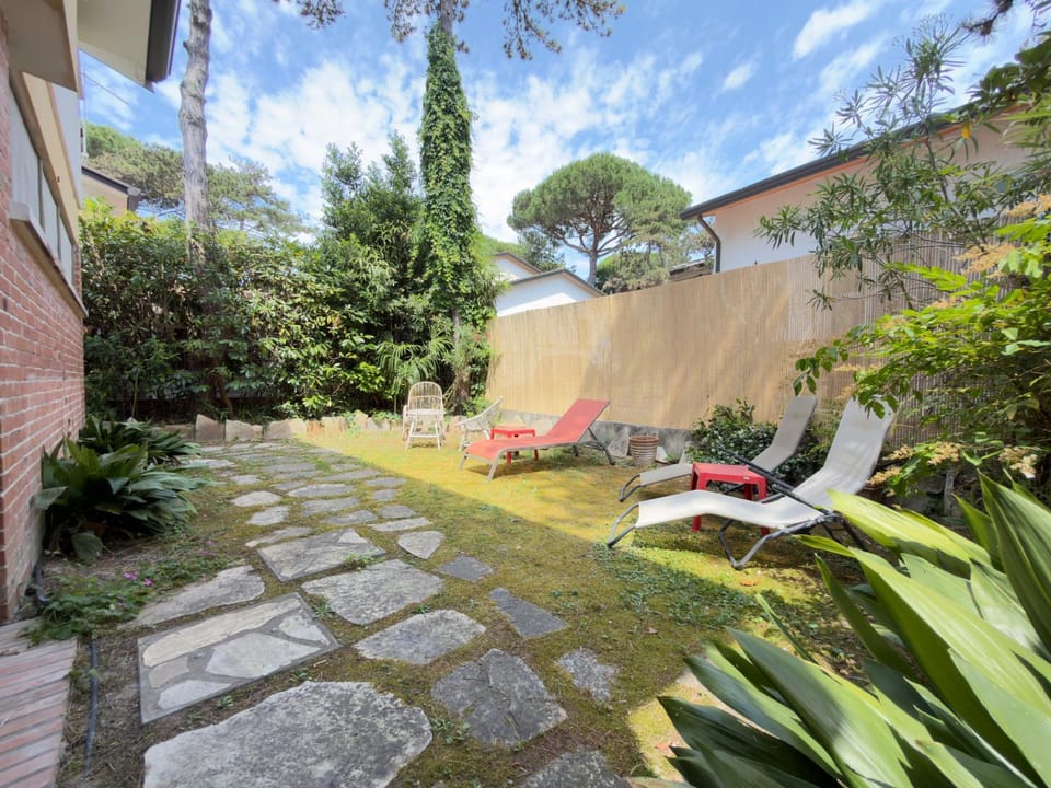 Garden, Garden, Garden view, sunbed