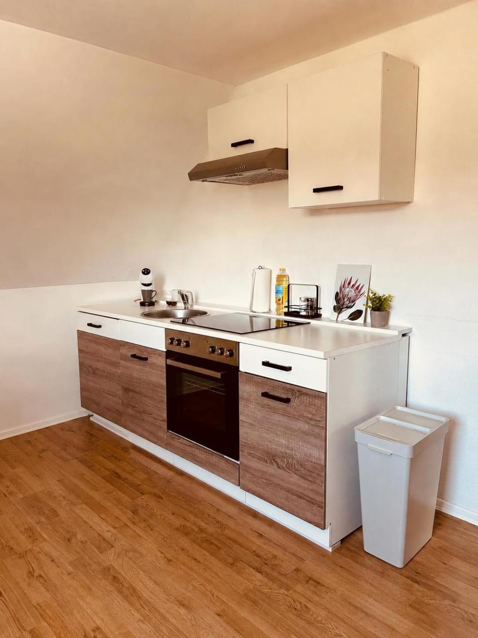 Coffee/tea facilities, Kitchen or kitchenette, stove