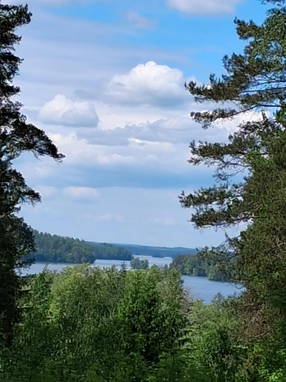 Lake view