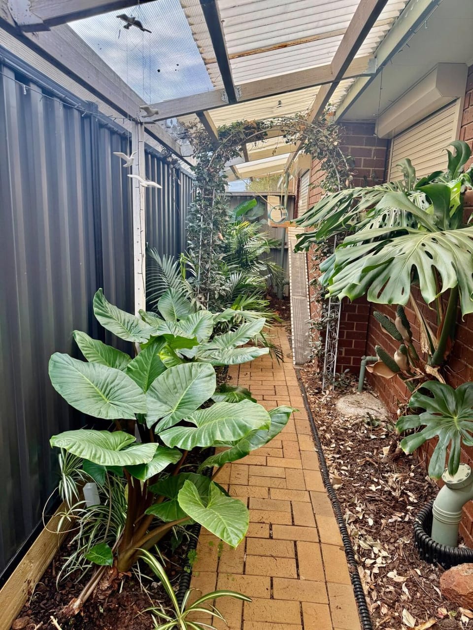 Garden view