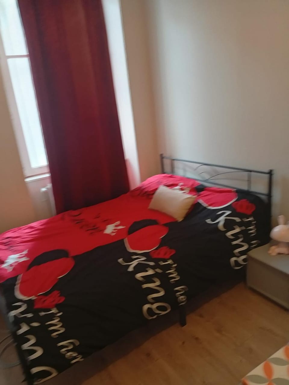 une appartement en plain centre Apartment in Saint-Étienne