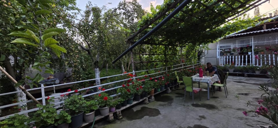Patio, Spring, Day, Garden, View (from property/room), Balcony/Terrace, Garden view