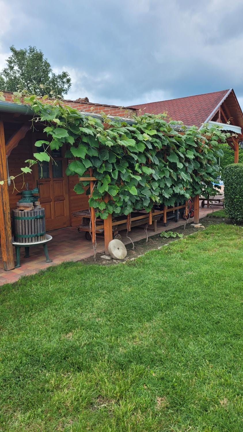 Mura Vendégház Bed and Breakfast in Hungary