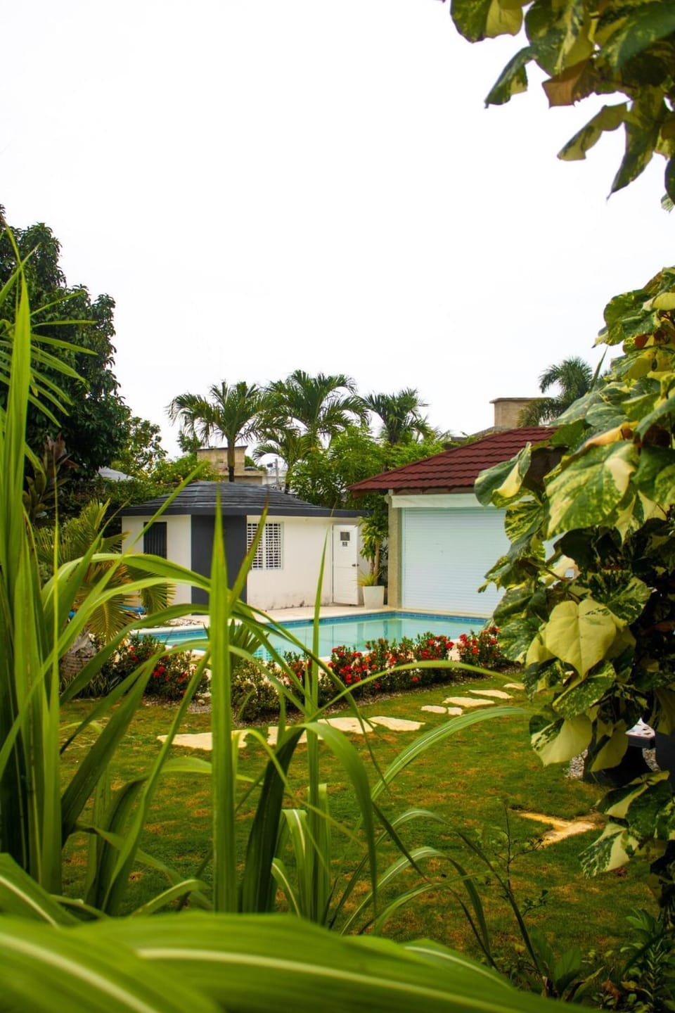 Garden, Swimming pool