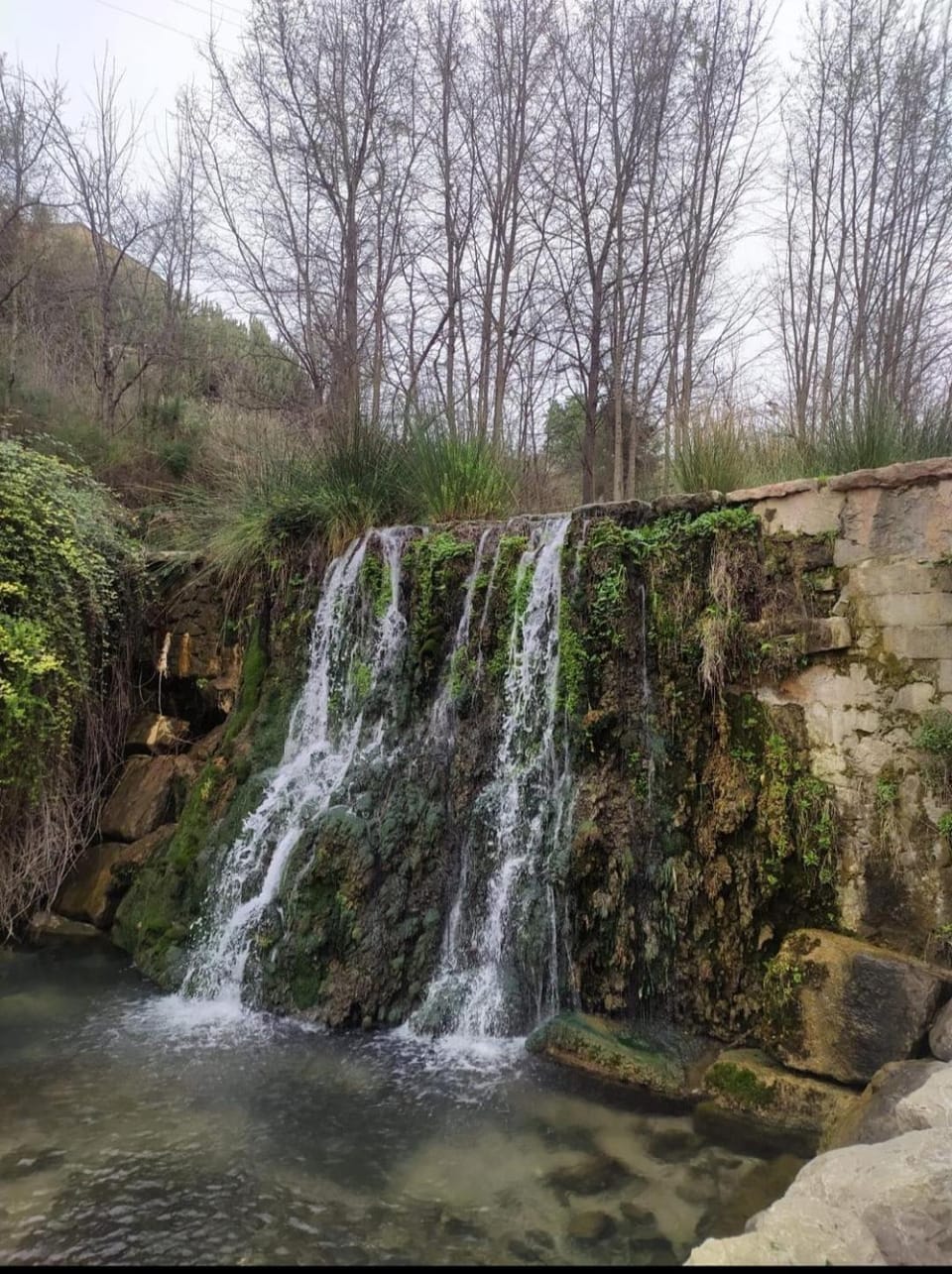 Natural landscape