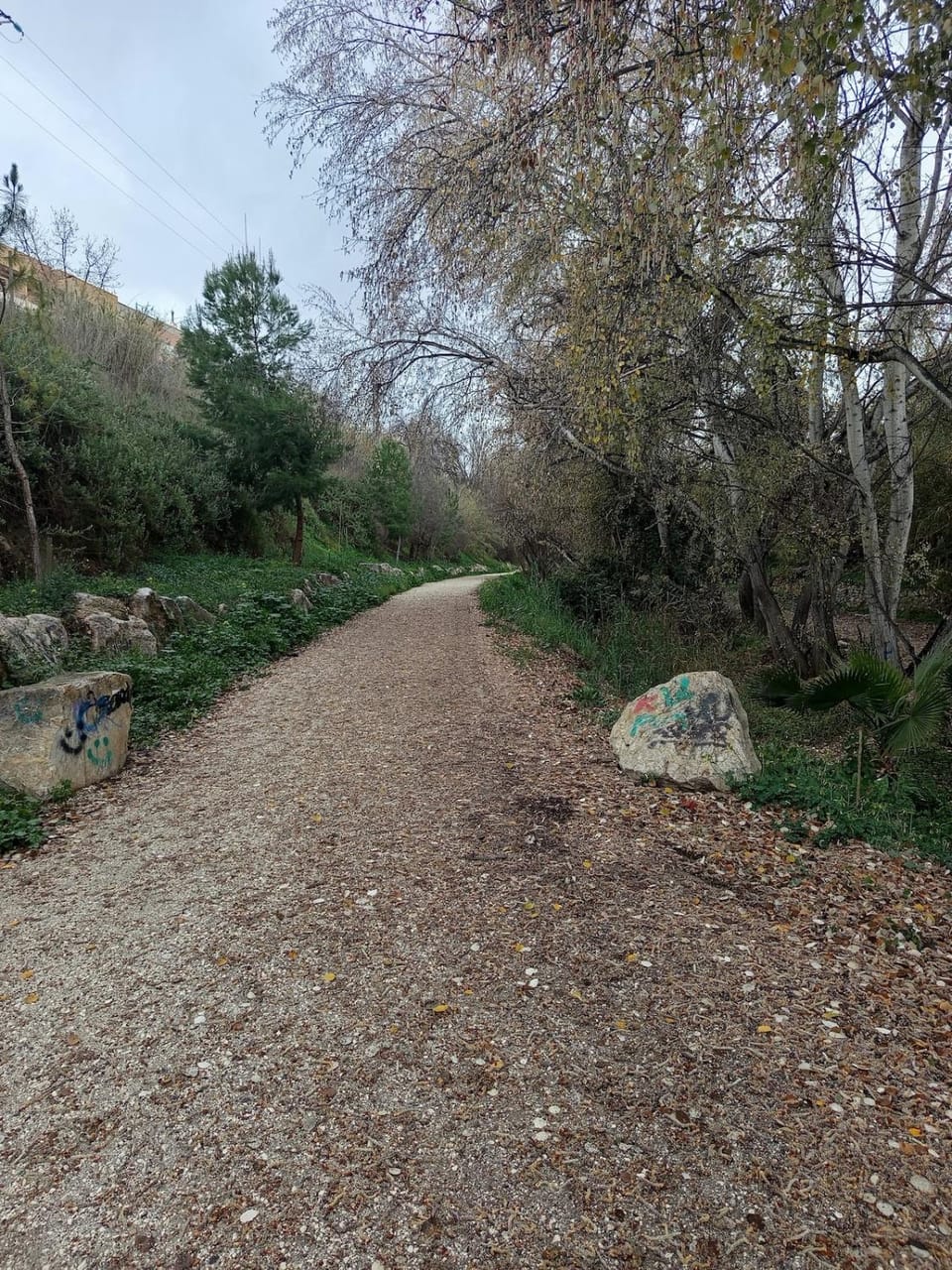 Natural landscape