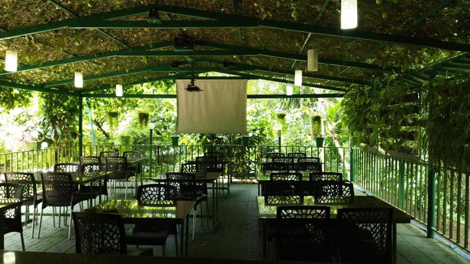 Misty Slope Resort in Kerala