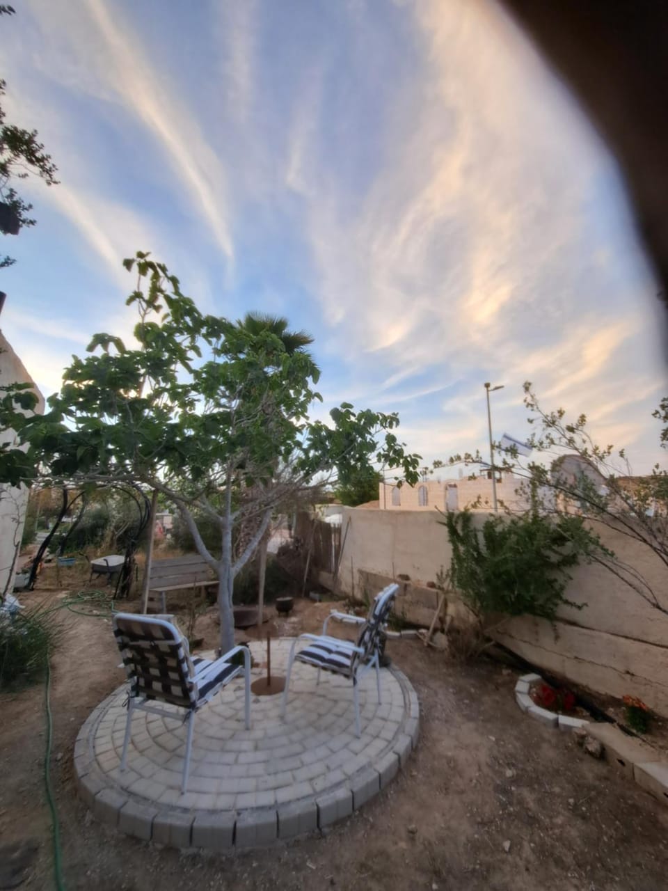בצל עץ התאנה House in South District