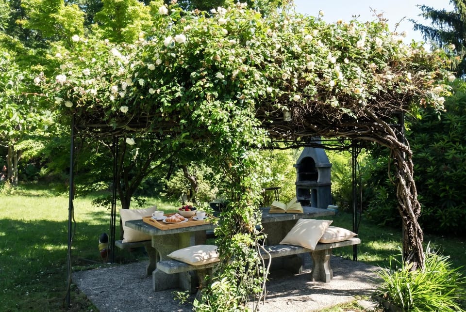 Patio, Garden