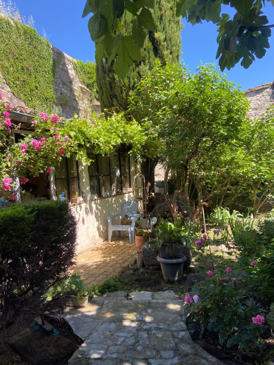 Garden view