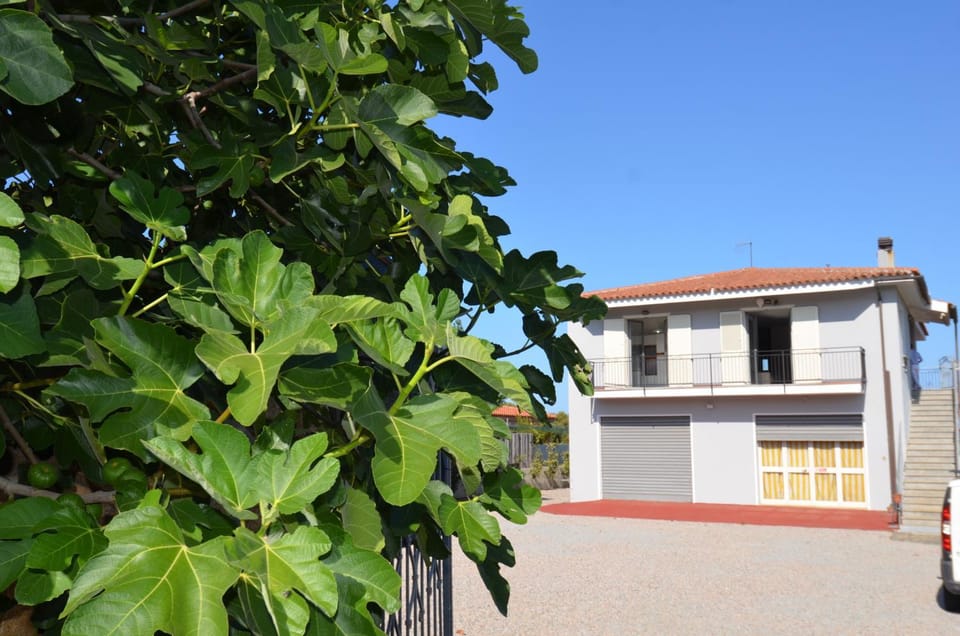 FST-Jav01P1 House in San Teodoro