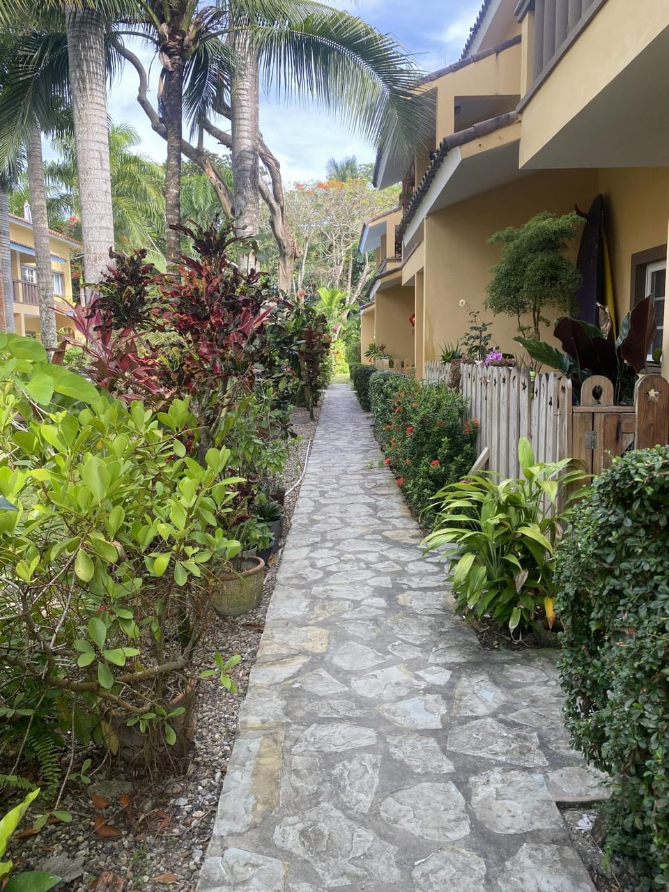 Garden view