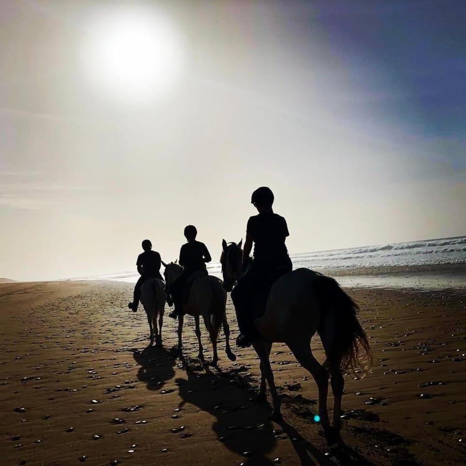 Day, People, Natural landscape, Horse-riding, Beach, Animals, Sea view, group of guests
