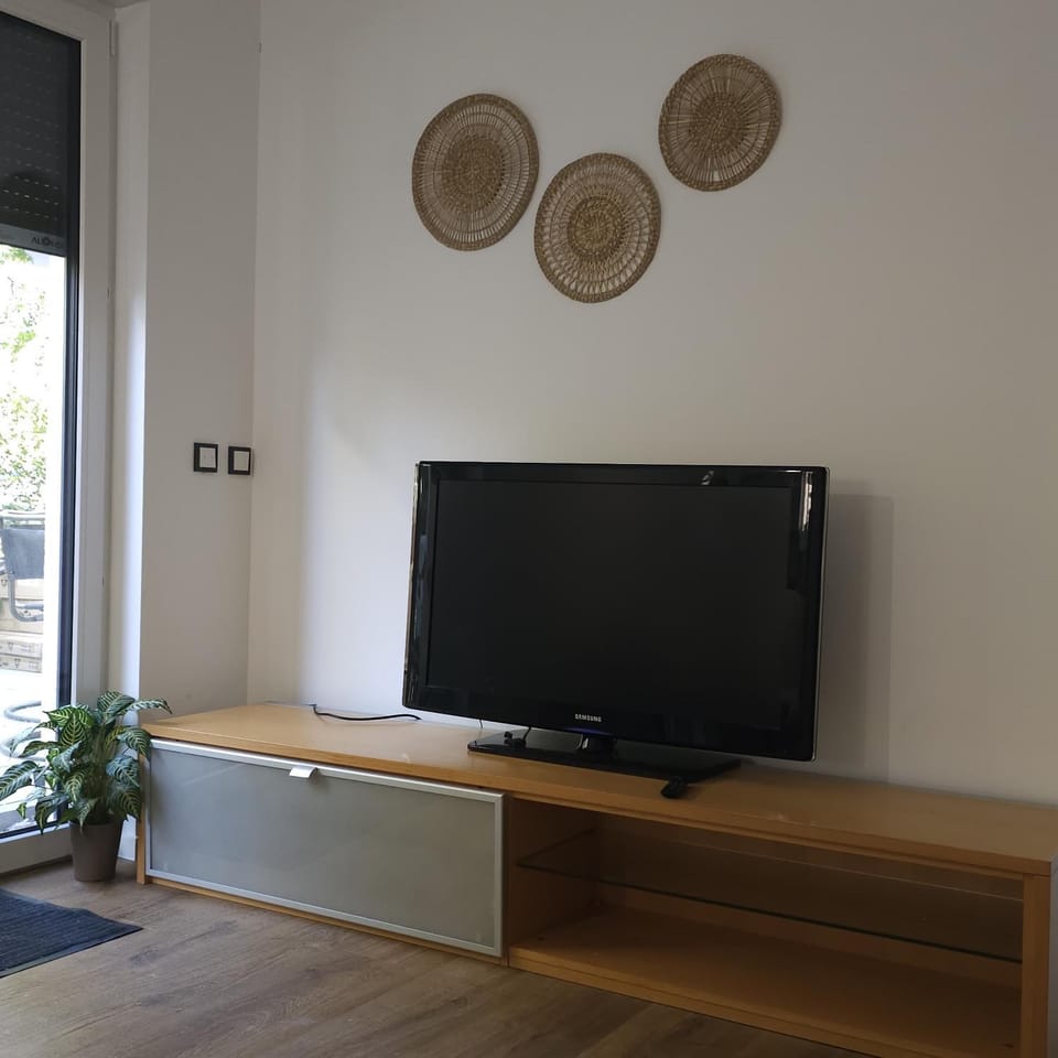 TV and multimedia