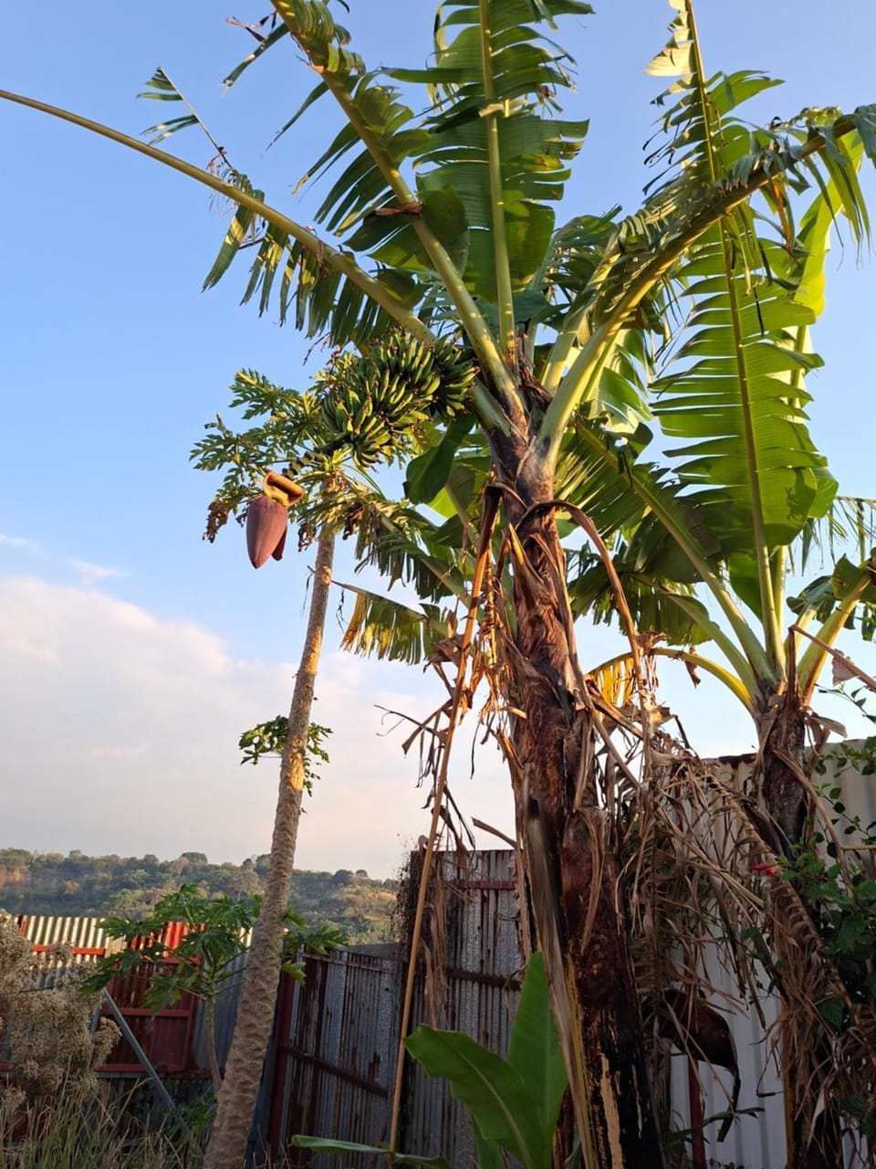Aventuras Costa Rica Apartment in Heredia Province