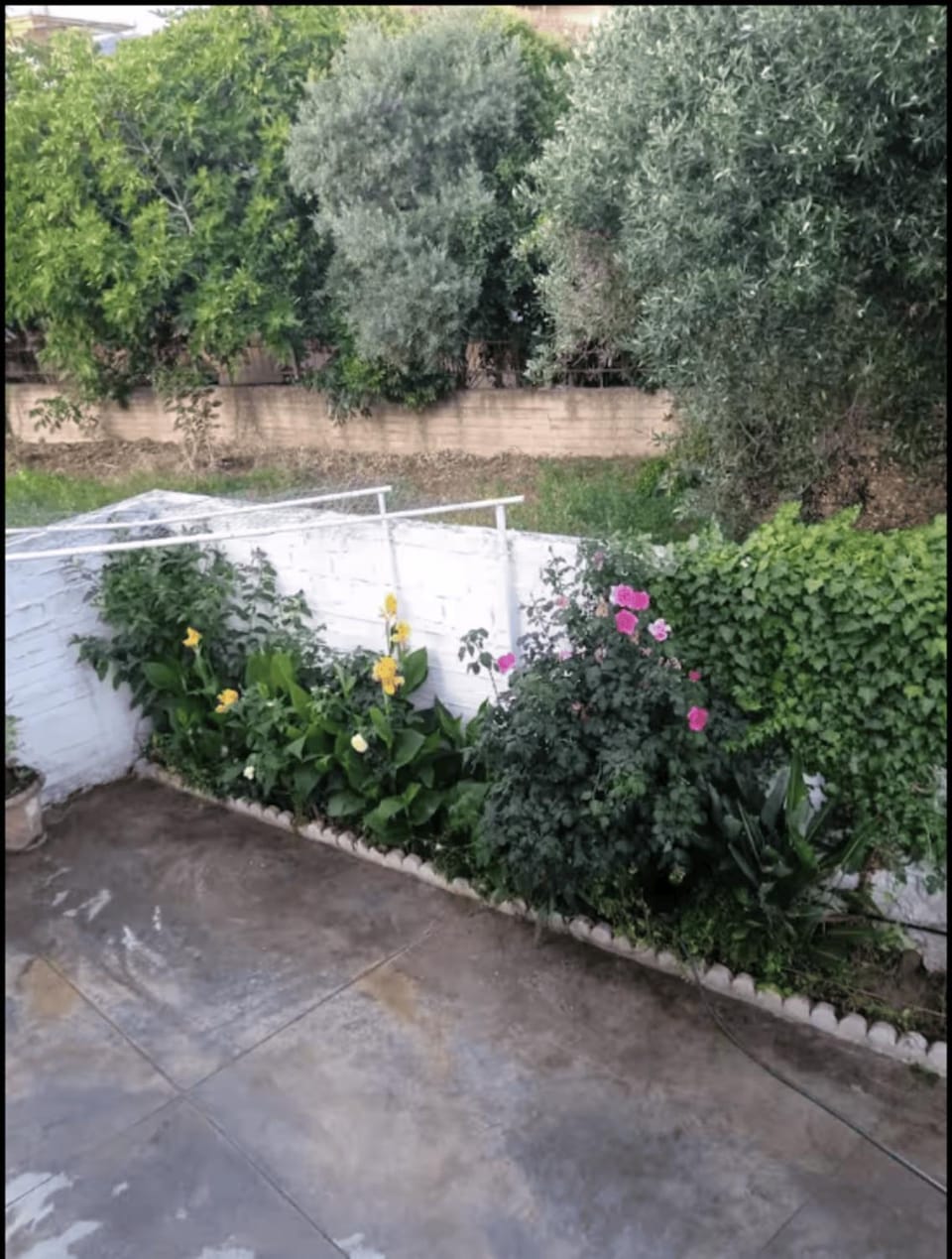 Marianna's Home - Comfort & Relaxation in Messinia Apartment in Messenia