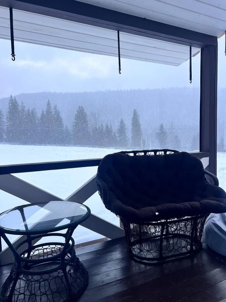 Balcony/Terrace