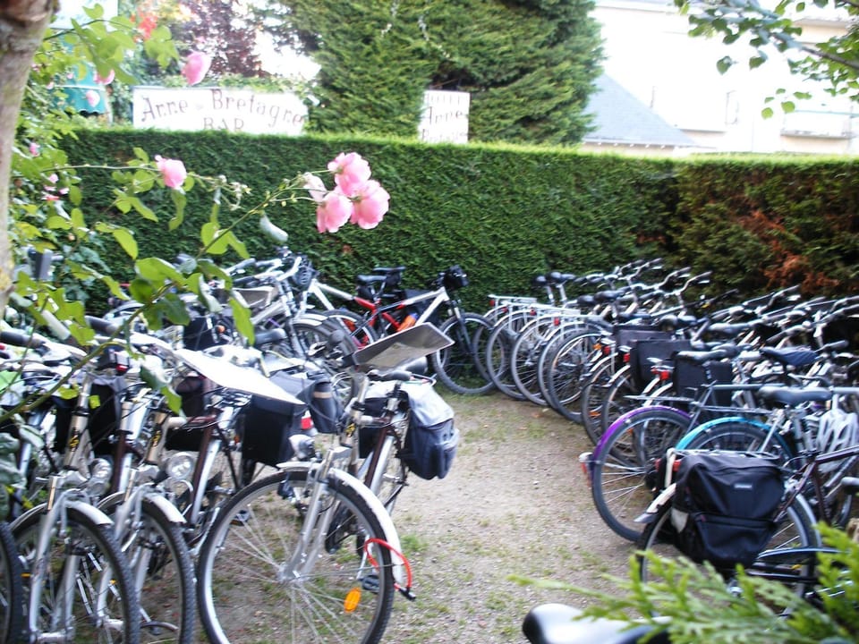 Activities, Garden, Cycling, Area and facilities