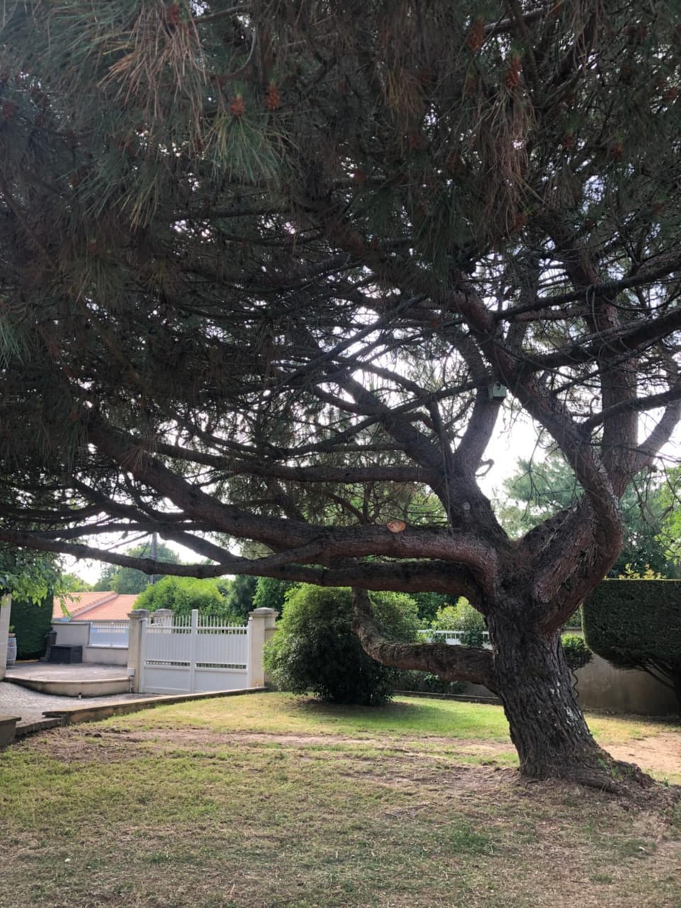 Garden, Parking