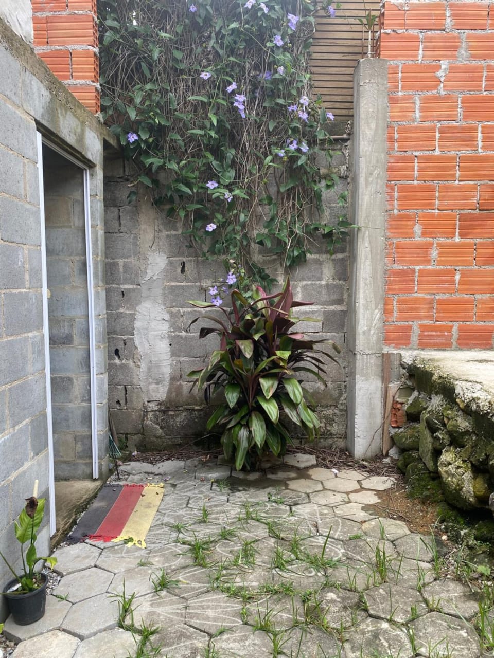 Tipi Campground/ 
RV Resort in São Sebastião