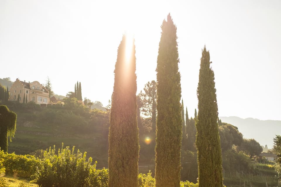 Inner courtyard view