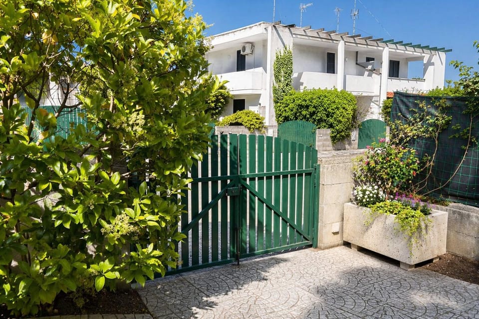 Property building, Garden, Garden view