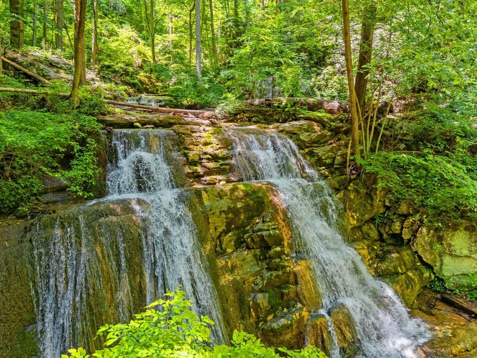 Secluded Retreat Endless Mtn Views Rushing Stream Chalet in Shenandoah Valley