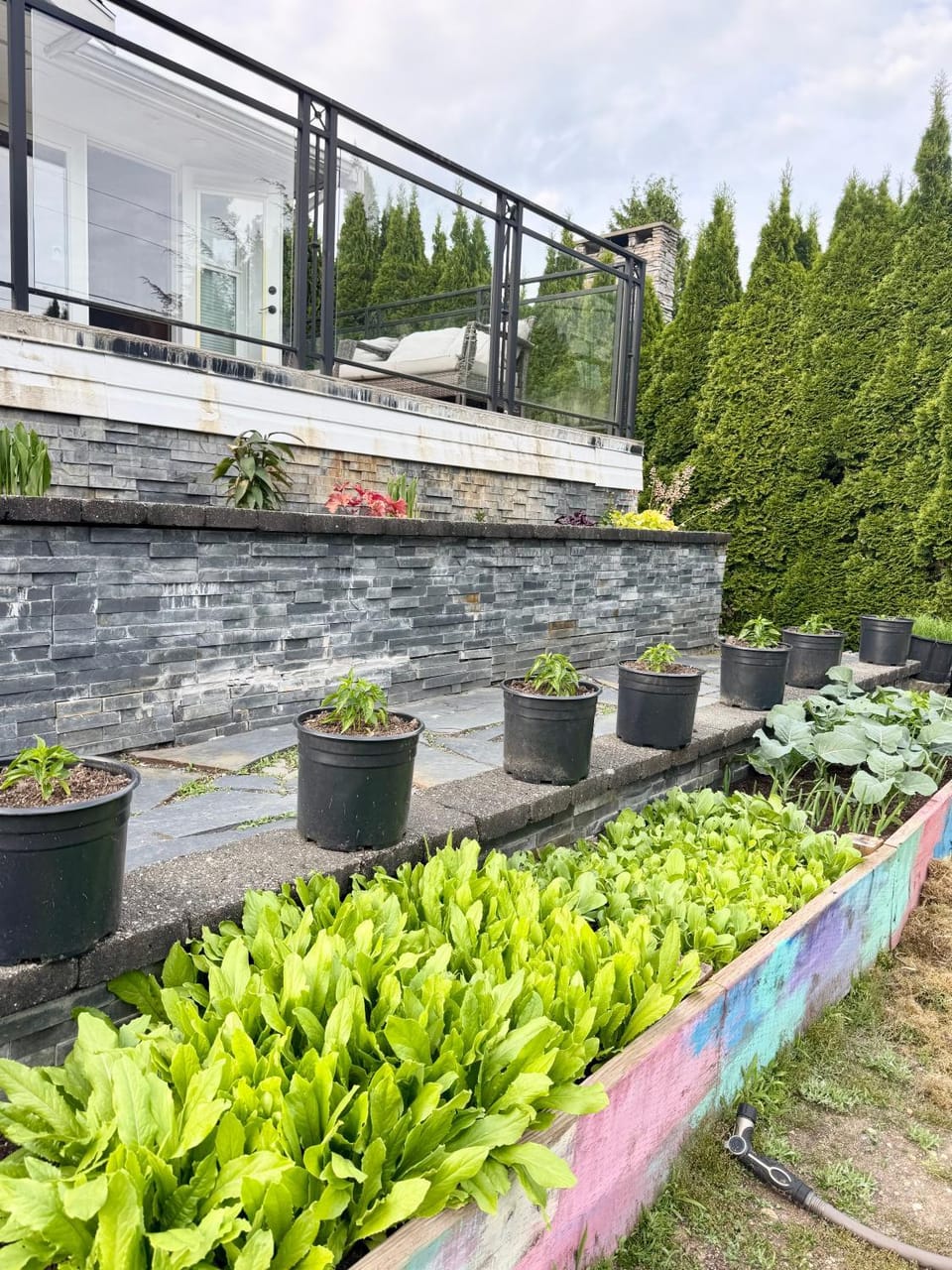Garden view