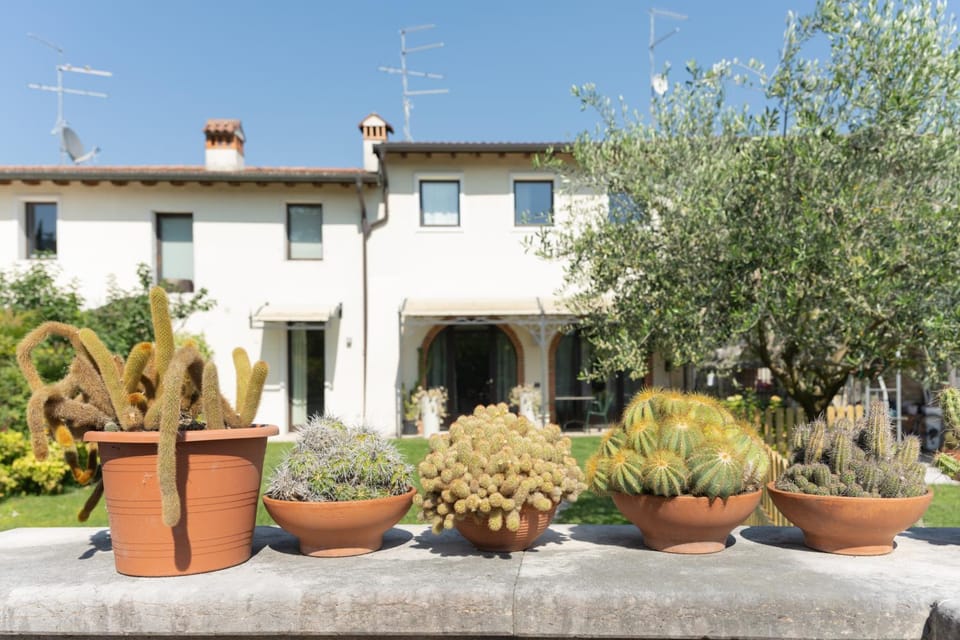 Garden, Garden view