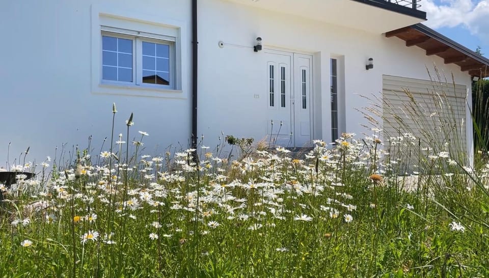 Property building, Day, Garden, Garden view