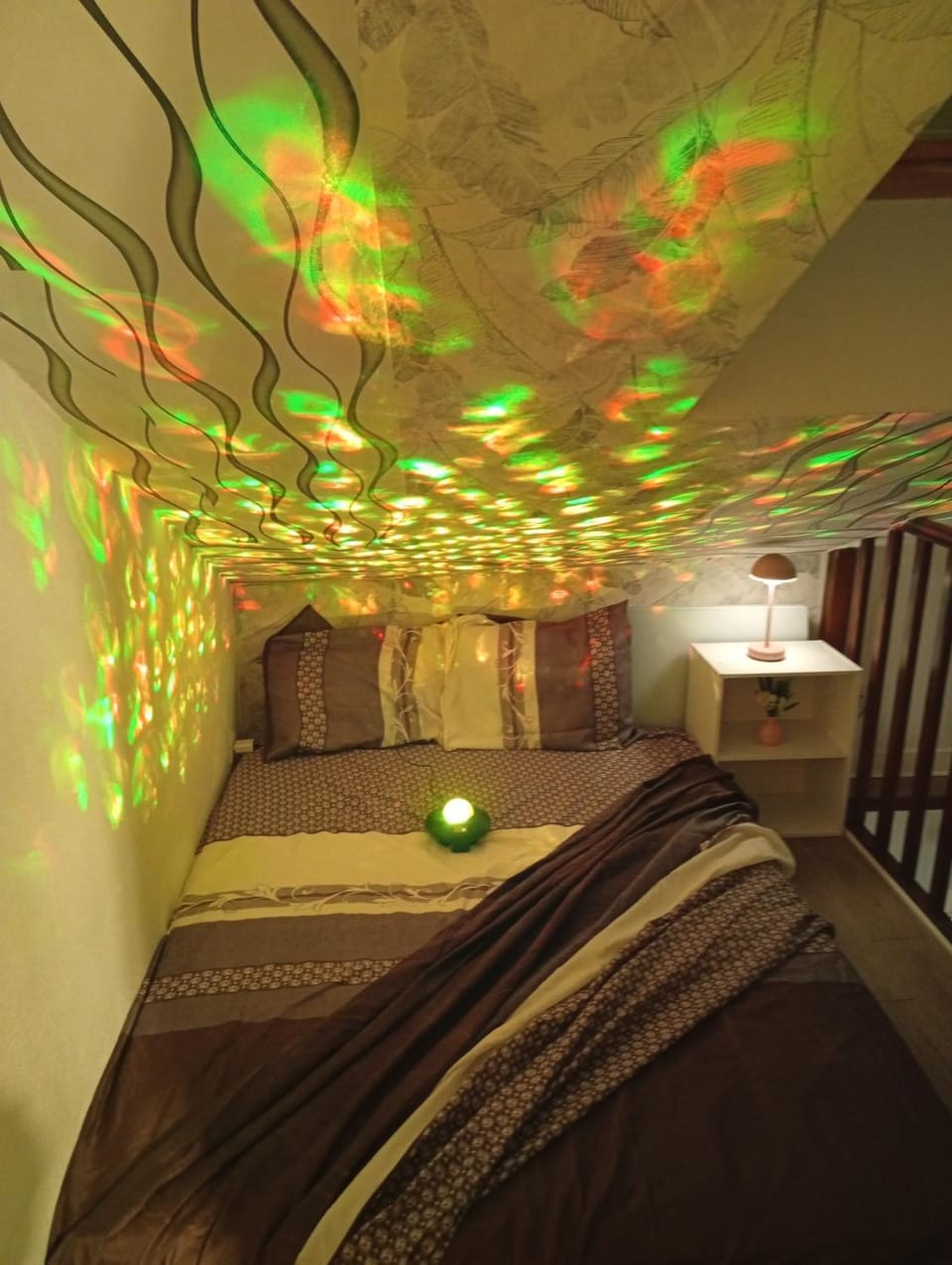 appartement équipé centre ville accepte les animaux, wifi gratuit au dessus de l'aquarium Apartment in Limoges